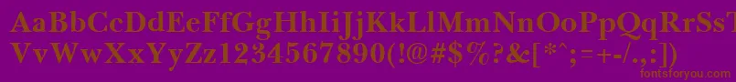 BassetBold Font – Brown Fonts on Purple Background