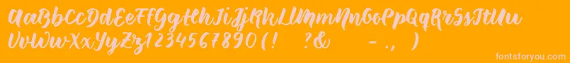 Wildcreaturessample Font – Pink Fonts on Orange Background