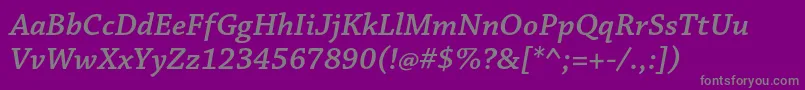 ChaparralproSemiboldit Font – Gray Fonts on Purple Background