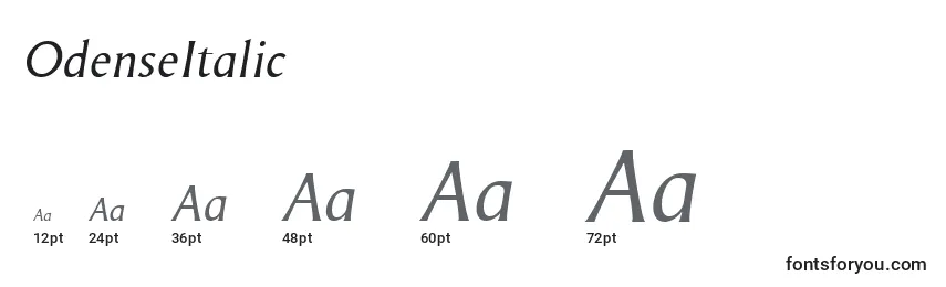 OdenseItalic Font Sizes