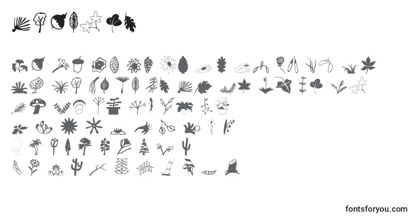 Schriftart Plantso – Alphabet, Zahlen, spezielle Symbole
