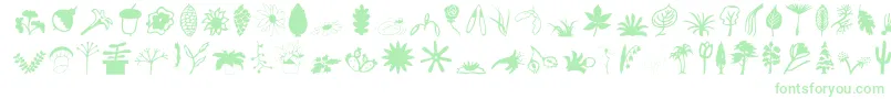 Plantso-fontti – vihreät fontit