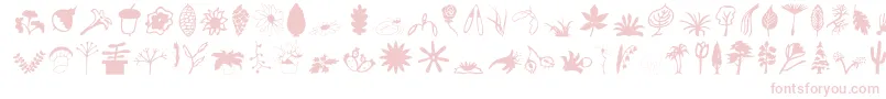 En savoir plus sur la police Plantso Police Plantso – polices roses sur fond blanc