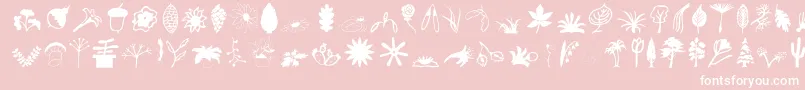 Plantso Font – White Fonts on Pink Background