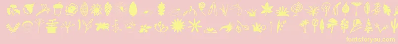 fuente Plantso – Fuentes Amarillas Sobre Fondo Rosa