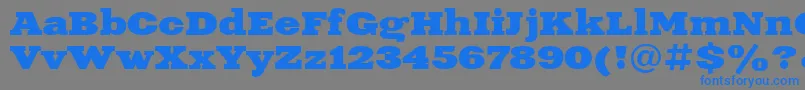 フォントXeniaExtendedBoldCyrillic – 灰色の背景に青い文字