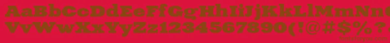 XeniaExtendedBoldCyrillic Font – Brown Fonts on Red Background