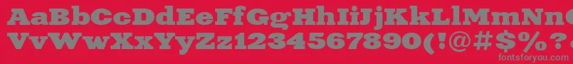 XeniaExtendedBoldCyrillic Font – Gray Fonts on Red Background