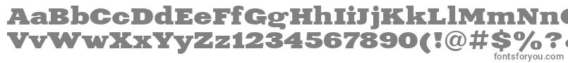 XeniaExtendedBoldCyrillic Font – Gray Fonts on White Background