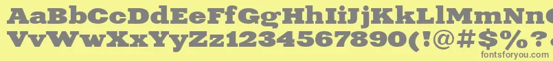 XeniaExtendedBoldCyrillic Font – Gray Fonts on Yellow Background
