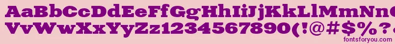 XeniaExtendedBoldCyrillic Font – Purple Fonts on Pink Background