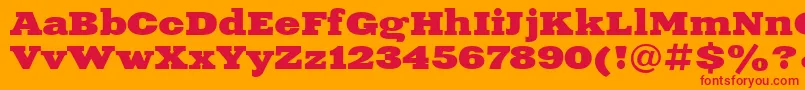 XeniaExtendedBoldCyrillic Font – Red Fonts on Orange Background