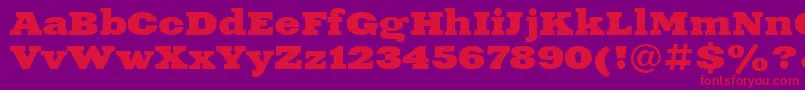 XeniaExtendedBoldCyrillic Font – Red Fonts on Purple Background