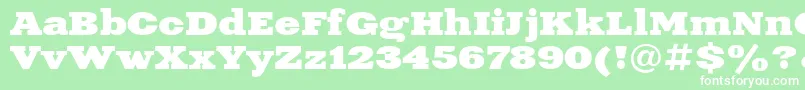 XeniaExtendedBoldCyrillic Font – White Fonts on Green Background