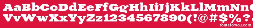 XeniaExtendedBoldCyrillic Font – White Fonts on Red Background