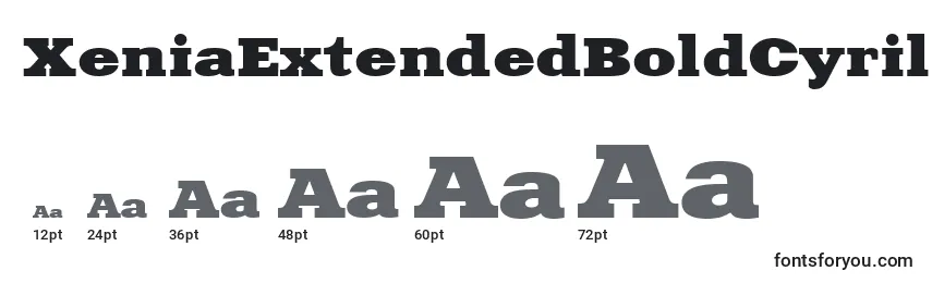 XeniaExtendedBoldCyrillic Font Sizes