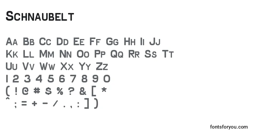 Czcionka Schnaubelt – alfabet, cyfry, specjalne znaki