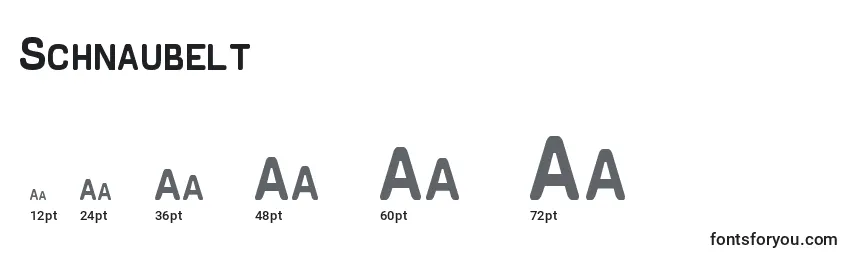 Schnaubelt Font Sizes