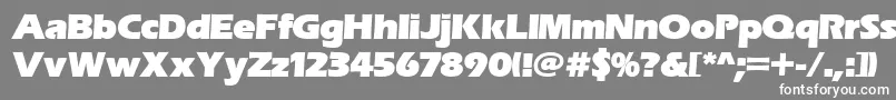 フォントErasitcpeeult – 灰色の背景に白い文字