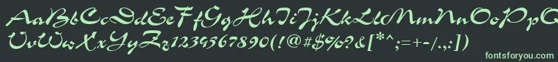 GrinyaHaevy Font – Green Fonts on Black Background
