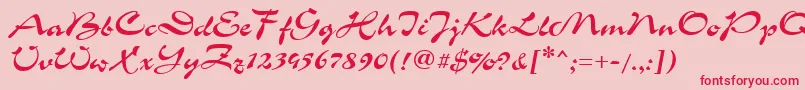 GrinyaHaevy Font – Red Fonts on Pink Background