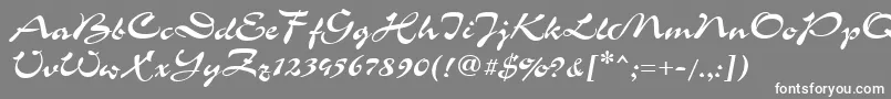 GrinyaHaevy Font – White Fonts on Gray Background