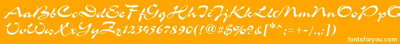 GrinyaHaevy Font – White Fonts on Orange Background