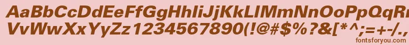 PartnerextraboldItalic Font – Brown Fonts on Pink Background