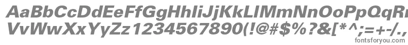 フォントPartnerextraboldItalic – 白い背景に灰色の文字