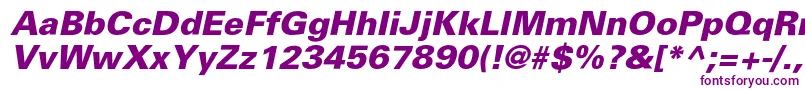 PartnerextraboldItalic Font – Purple Fonts on White Background