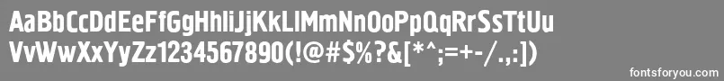 Pollockc1 Font – White Fonts on Gray Background