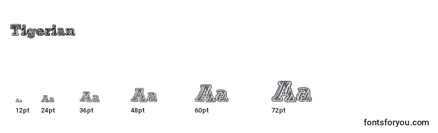 Tigerian Font Sizes