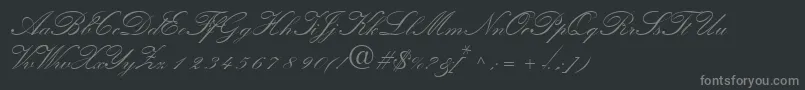 QuillscriptsskBold Font – Gray Fonts on Black Background