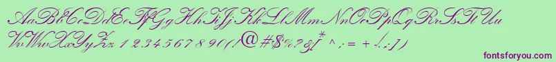 QuillscriptsskBold Font – Purple Fonts on Green Background