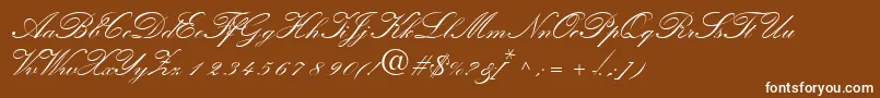 QuillscriptsskBold Font – White Fonts on Brown Background