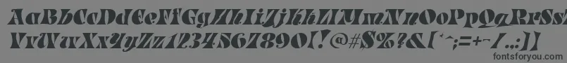 Шрифт ParadeItalic – чёрные шрифты на сером фоне