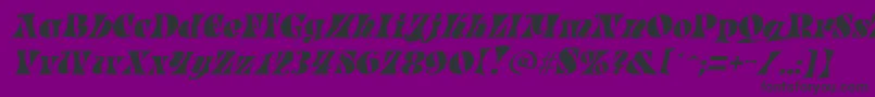 ParadeItalic Font – Black Fonts on Purple Background