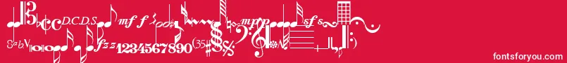 ComposerRegular Font – White Fonts on Red Background