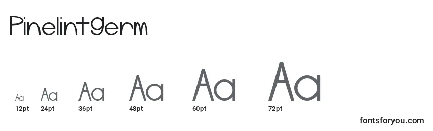 Pinelintgerm Font Sizes