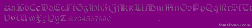 SalterioGradient-Schriftart – Graue Schriften auf violettem Hintergrund
