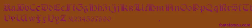 Шрифт SalterioGradient – фиолетовые шрифты на коричневом фоне