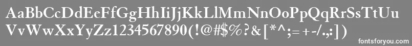 フォントTiascoSsiBold – 灰色の背景に白い文字