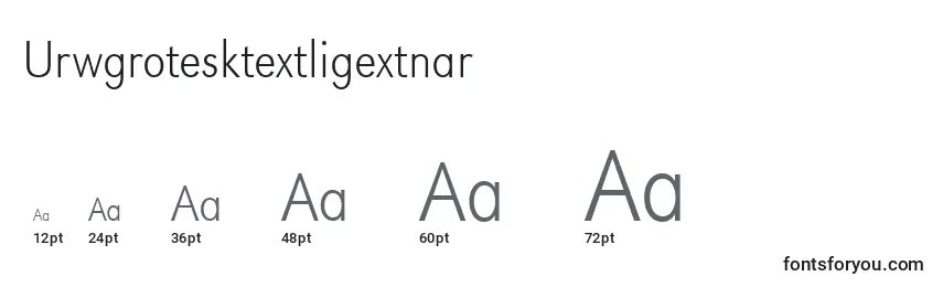 Размеры шрифта Urwgrotesktextligextnar