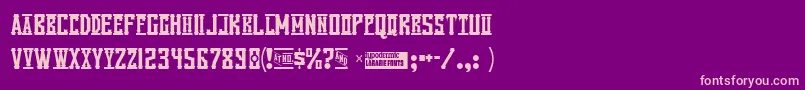 Vanilla Font – Pink Fonts on Purple Background