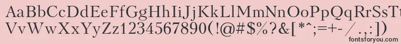 Peterburg-Schriftart – Schwarze Schriften auf rosa Hintergrund