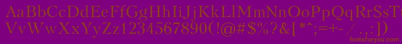 Шрифт Peterburg – коричневые шрифты на фиолетовом фоне