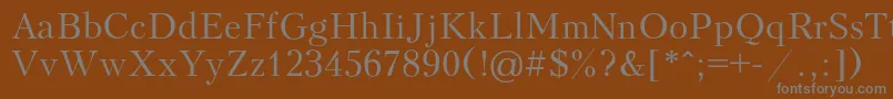 フォントPeterburg – 茶色の背景に灰色の文字