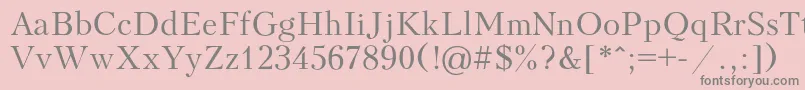 Peterburg Font – Gray Fonts on Pink Background