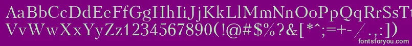 Peterburg Font – Green Fonts on Purple Background