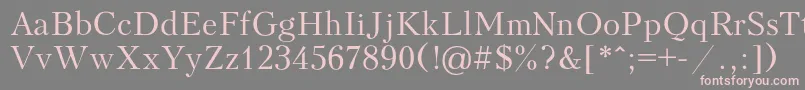 Шрифт Peterburg – розовые шрифты на сером фоне